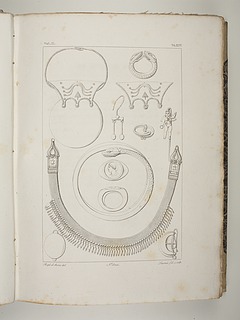 Museo Borbonico bd. II, 1825, pl. XIV. Thorvaldsens Museum. M48. Guld- og sølvsmykker, overvejende fra Pompei, i. årh. e.Kr. - Copyright tilhører Thorvaldsens Museum