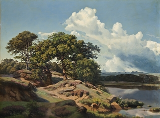 Dansk landskab