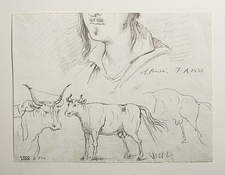 Dyrestudier. Portræt af Bartolomeo Pinelli