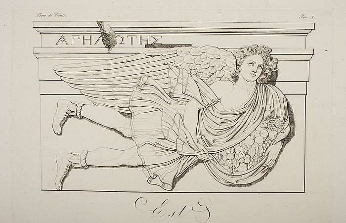 E1475.jpg