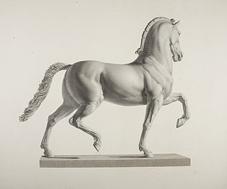 Hest