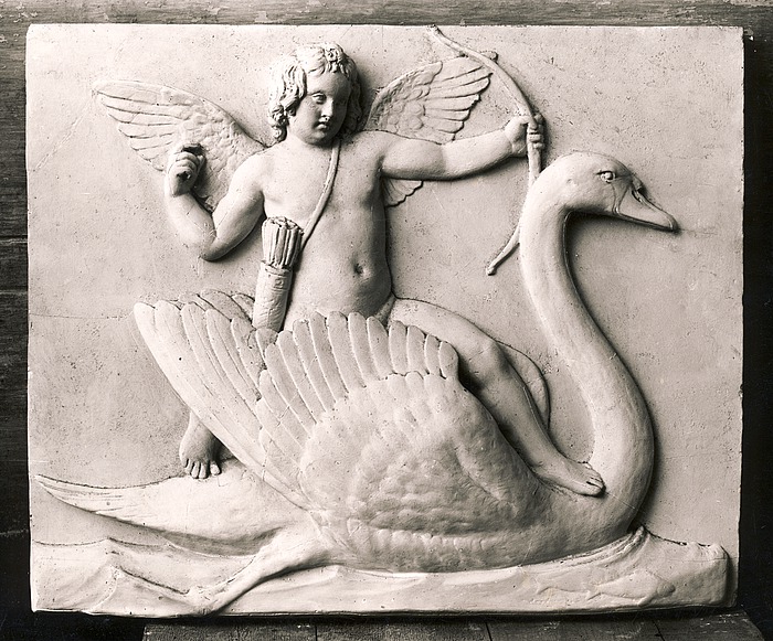 Amor på en svane