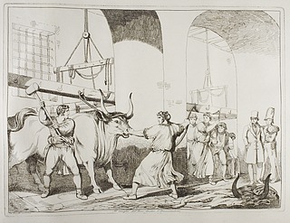 Il maglio del Bue dentro l'ammazzatora ( Oksen får et hammerslag i slagteriet )