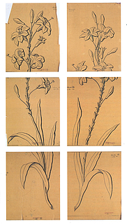 H.C. From: Skitser til vinduesudsmykningen, liljeranker