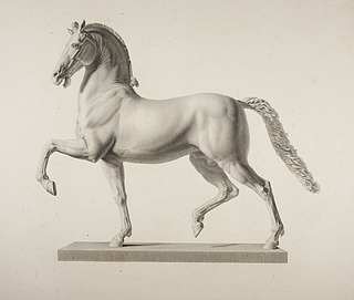 Hest