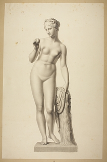Venus med æblet