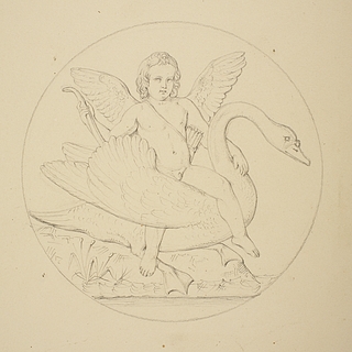 Amor på en svane