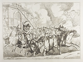 Bovi condotti al Campo di Romae ( Okser drives på Campo di Roma )