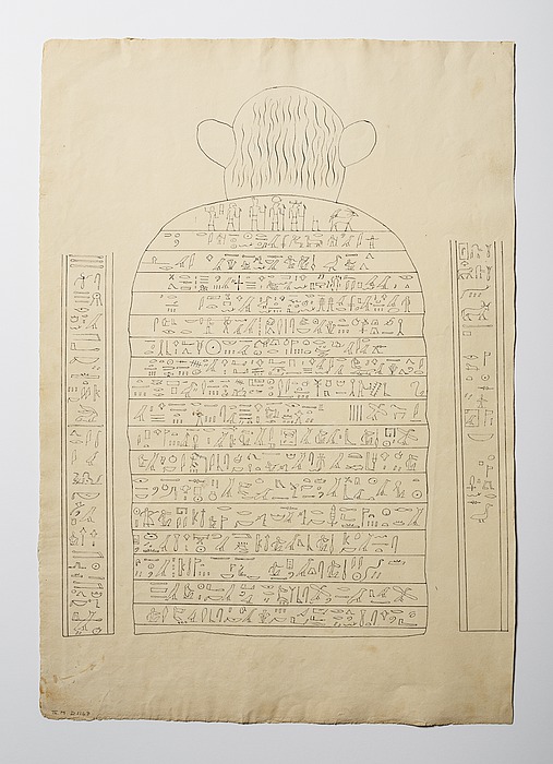 D1167v