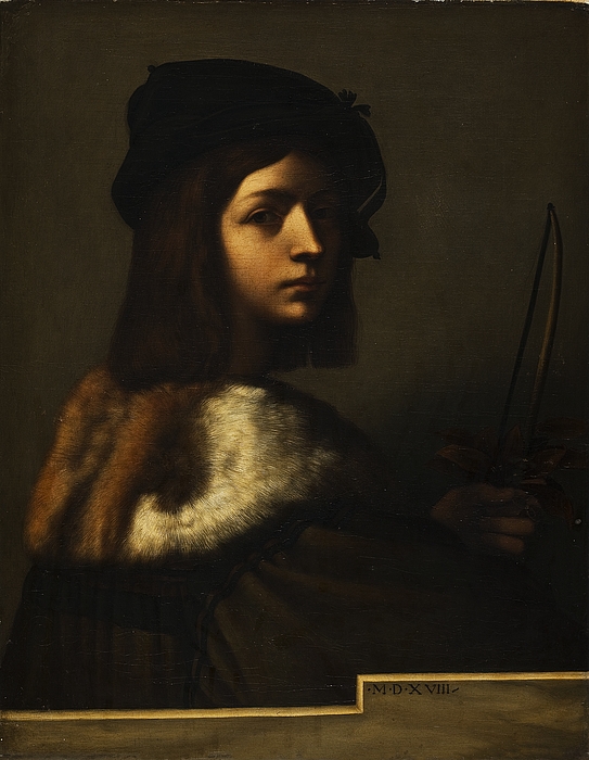 Violinspiller