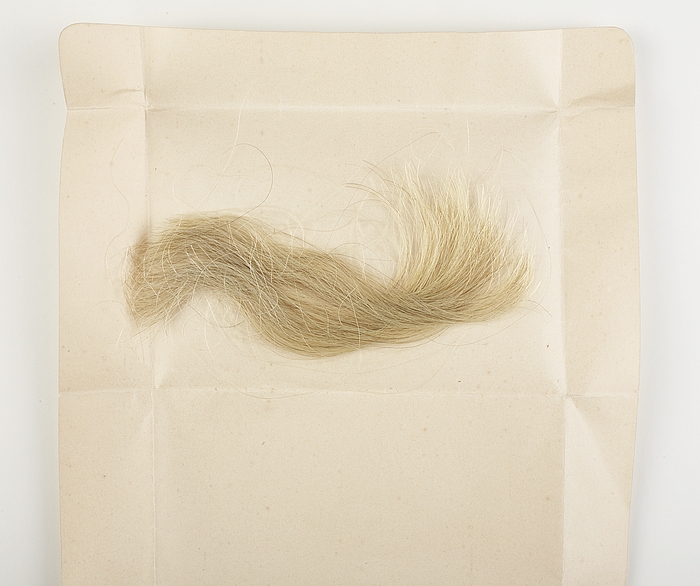 Thorvaldsen's hair N357 - Thorvaldsensmuseum