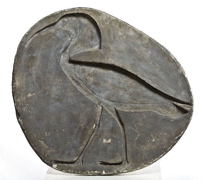 Ibis