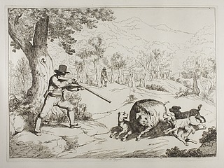 Caccia del Cignjale ( Vildsvinejagt )